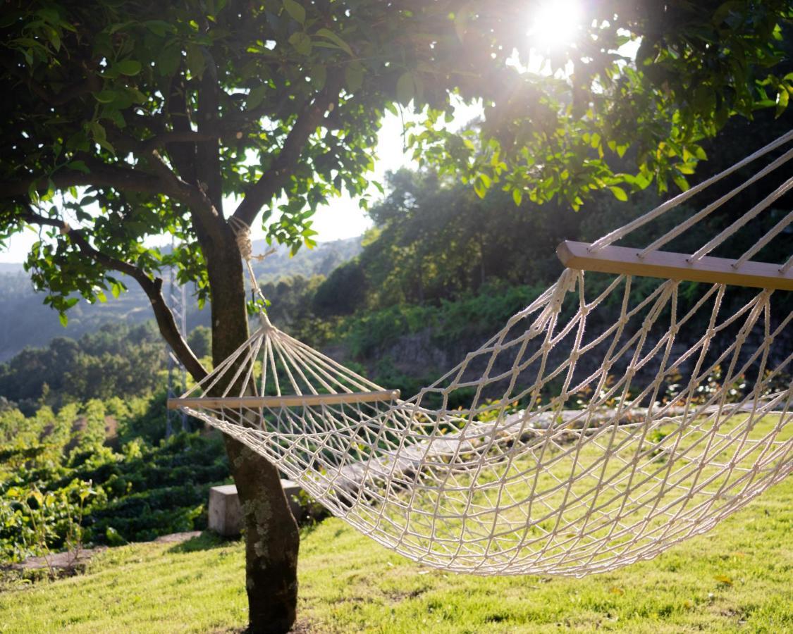 فيلا Quinta Do Tapadinho - Wine & Tourism Moimenta المظهر الخارجي الصورة