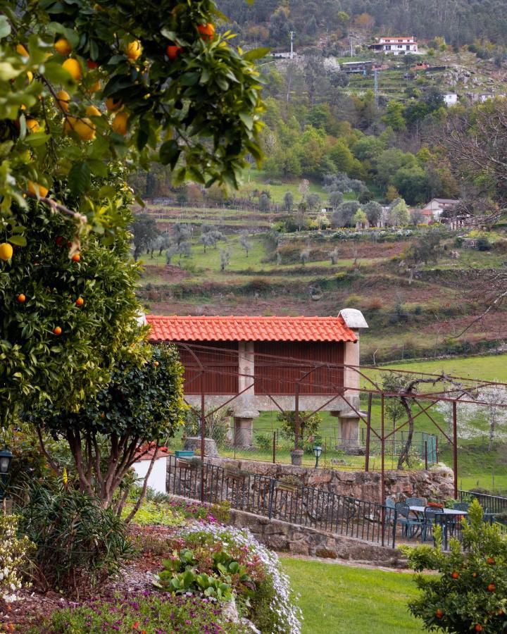 فيلا Quinta Do Tapadinho - Wine & Tourism Moimenta المظهر الخارجي الصورة
