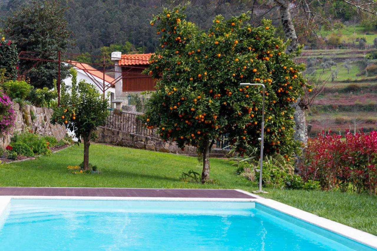 فيلا Quinta Do Tapadinho - Wine & Tourism Moimenta المظهر الخارجي الصورة