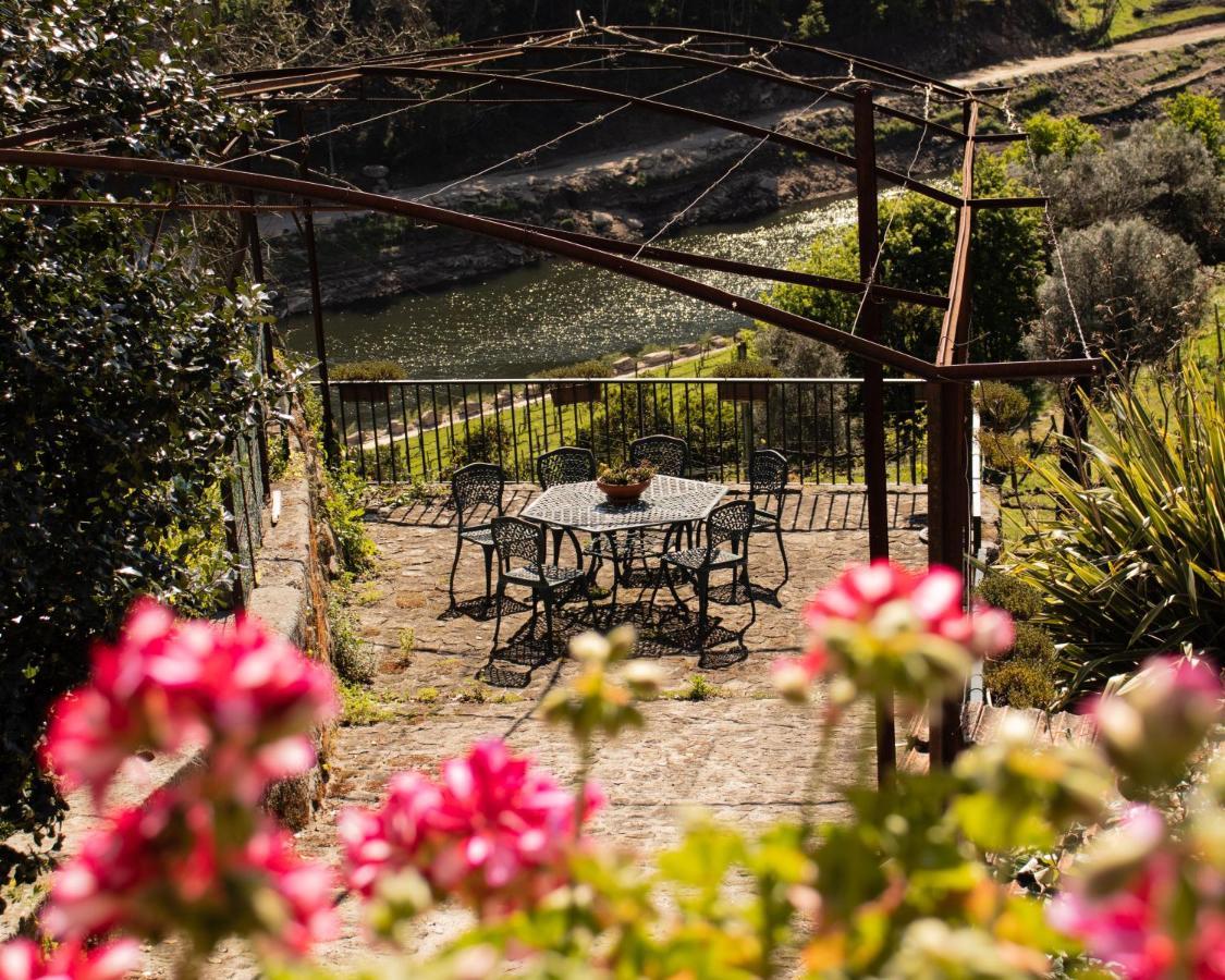 فيلا Quinta Do Tapadinho - Wine & Tourism Moimenta المظهر الخارجي الصورة