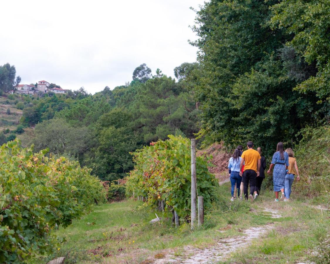 فيلا Quinta Do Tapadinho - Wine & Tourism Moimenta المظهر الخارجي الصورة
