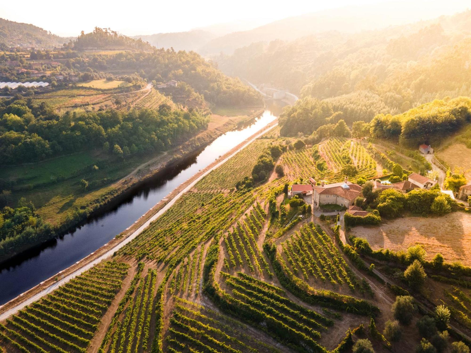 فيلا Quinta Do Tapadinho - Wine & Tourism Moimenta المظهر الخارجي الصورة